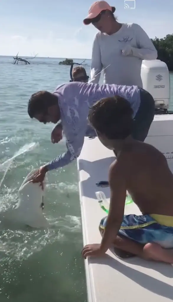 Reeder had to be airlifted to hospital.