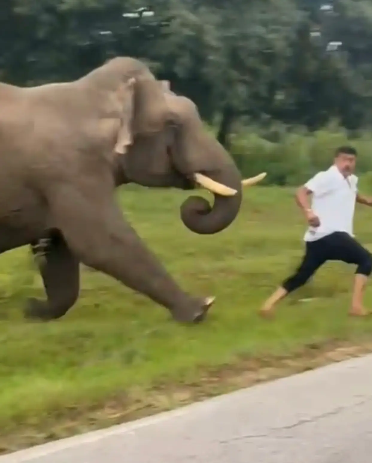 Horrified bystanders in Karnataka, southwest India, captured the footage (ViralPress)