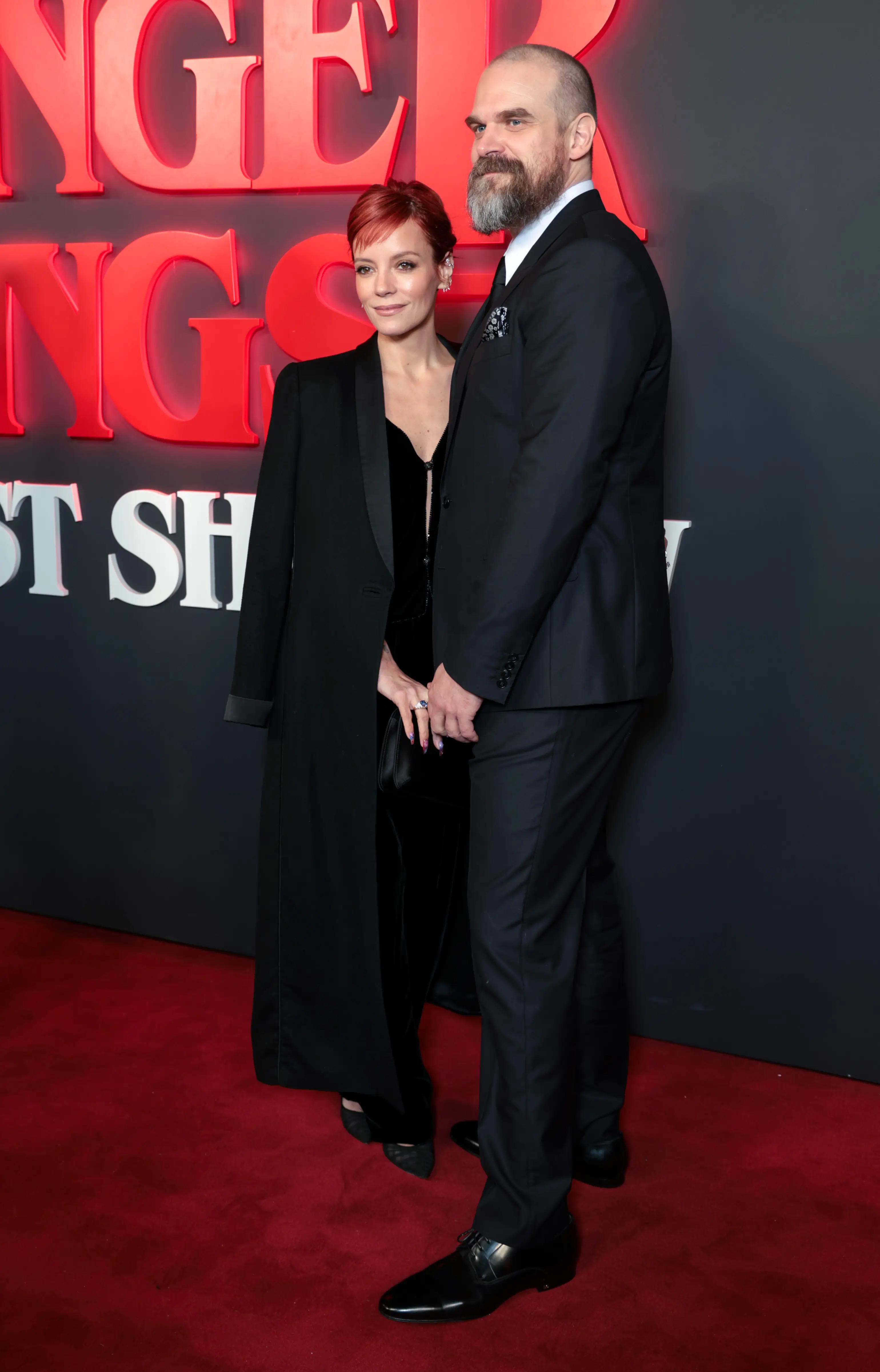 It's alleged David Harbour had an affair during their marriage (Shane Anthony Sinclair/Getty Images)