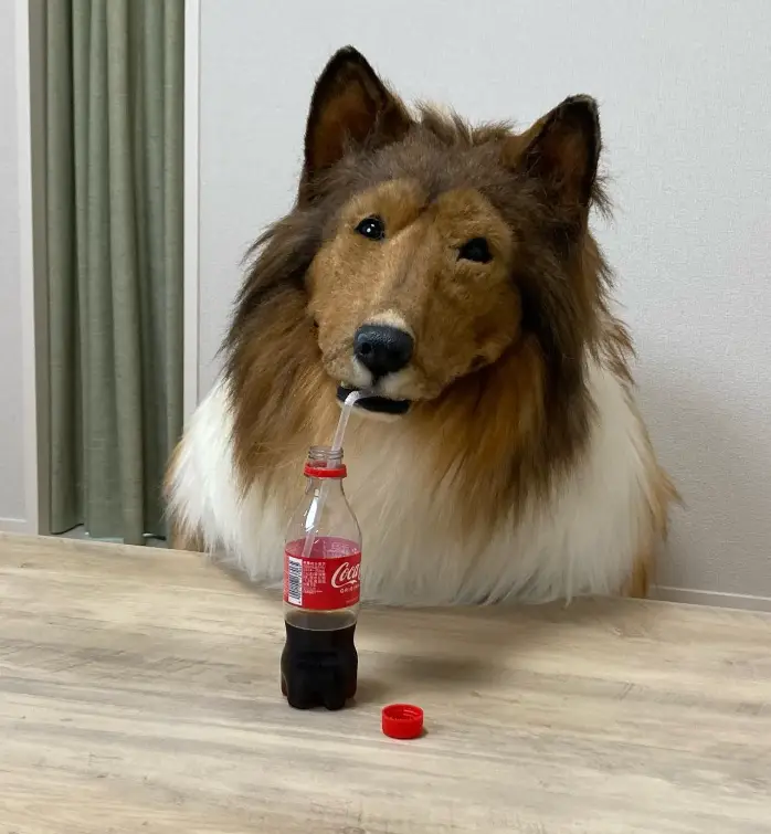 Toco he's now opened his own 'zoo' (Instagram/@toco.ev)