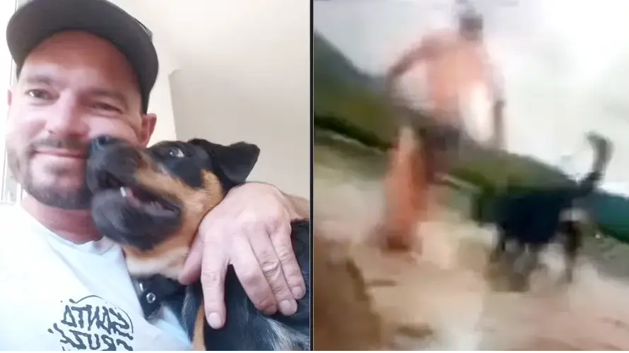 7NEWS Australia/ YouTube