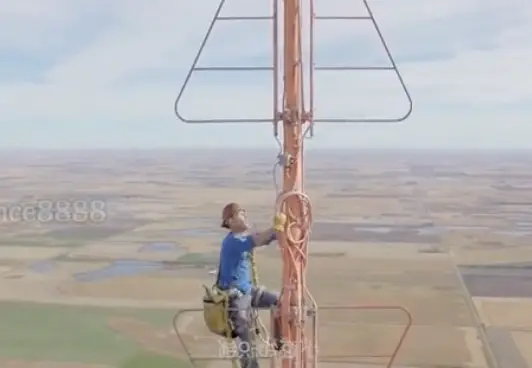 It's certainly not a job for the faint-hearted.