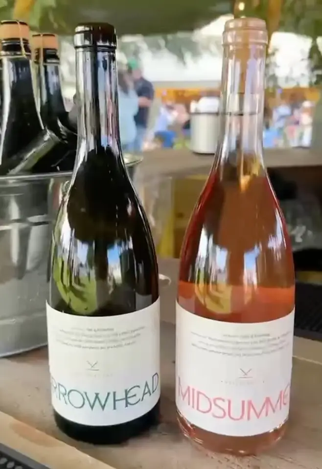 The pub now has its own wine (Instagram/@hefarmersdogpub)