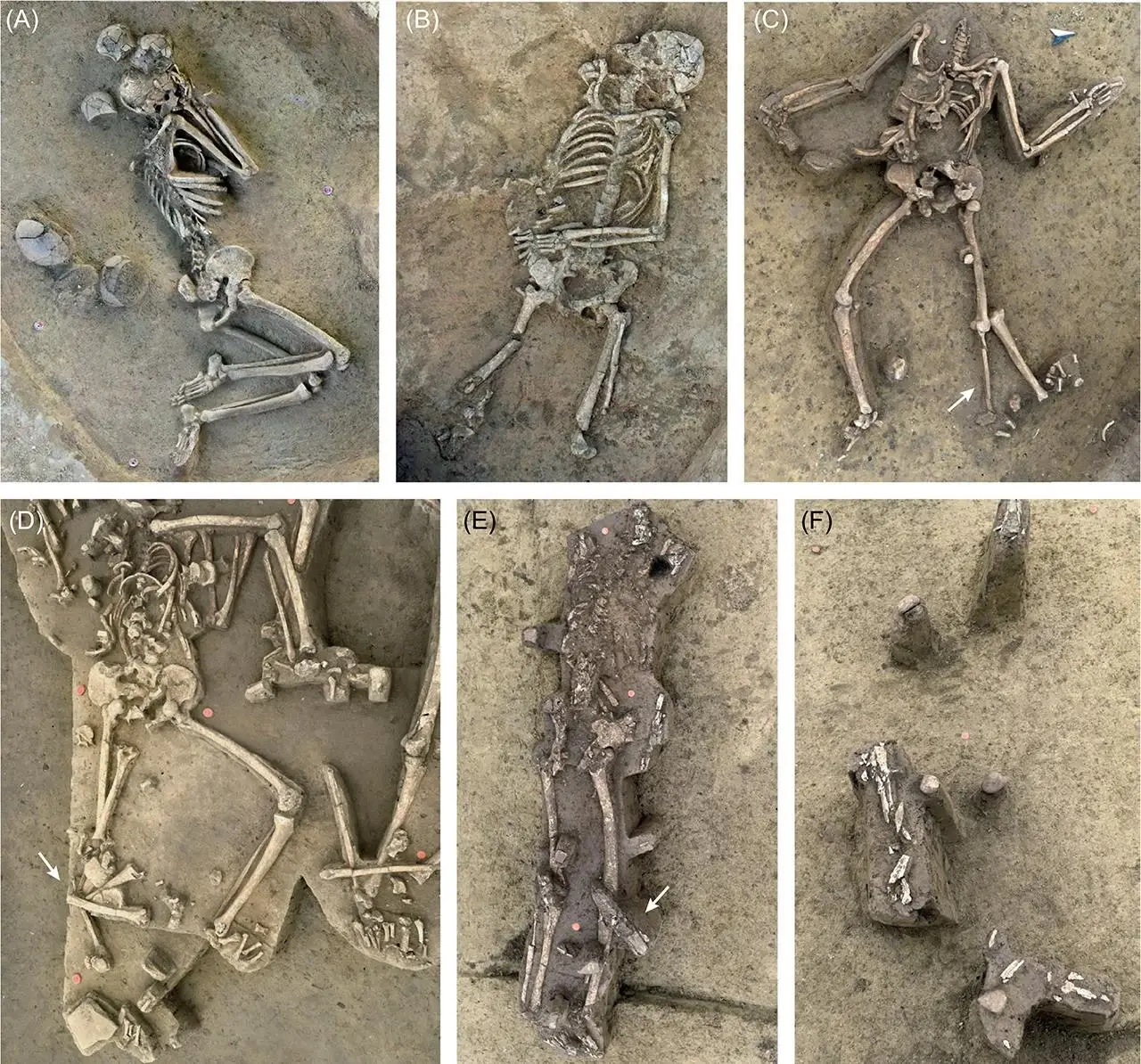 The bodies were initially thought to have been massacred, but further investigation indicates it was a burial ritual (Proceedings of the Prehistoric Society)