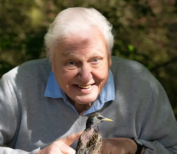 Did you know that most nature documentaries add in the animal sounds after filming?