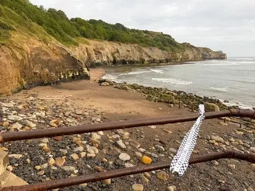 The couple jumped off a cliff together near Whitby (MEN Media)
