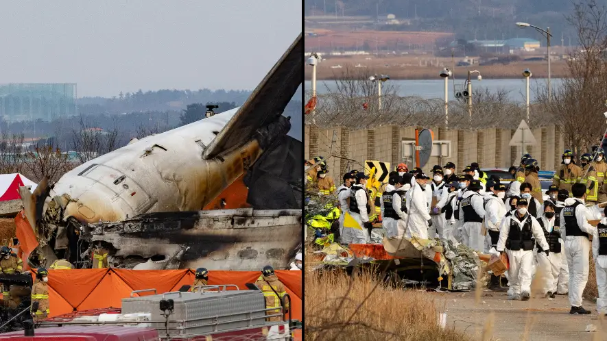 First words from one of surviving cabin crew members of tragic plane crash that killed 179 people shared