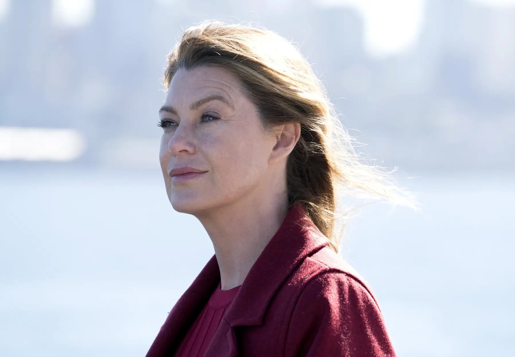 Ellen Pompeo left Greys Anatomy last year after 19 seasons. (ABC)