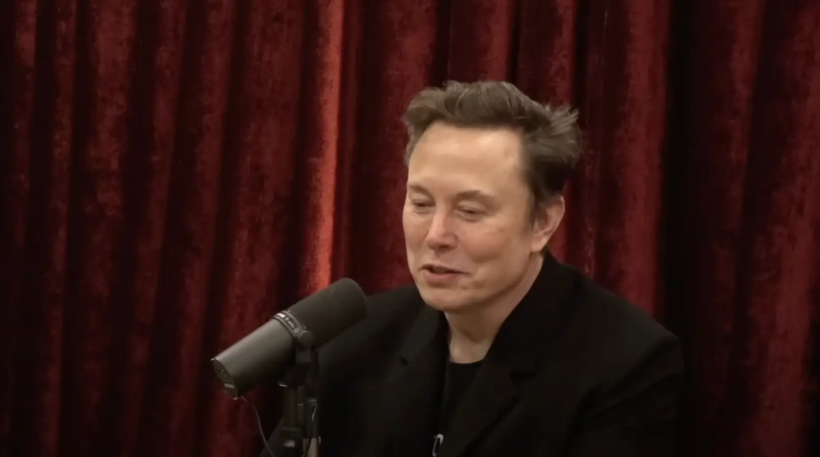 Musk doubled down on the salute, insisting it didn't mean anything negative (YouTube/PowerfulJRE)