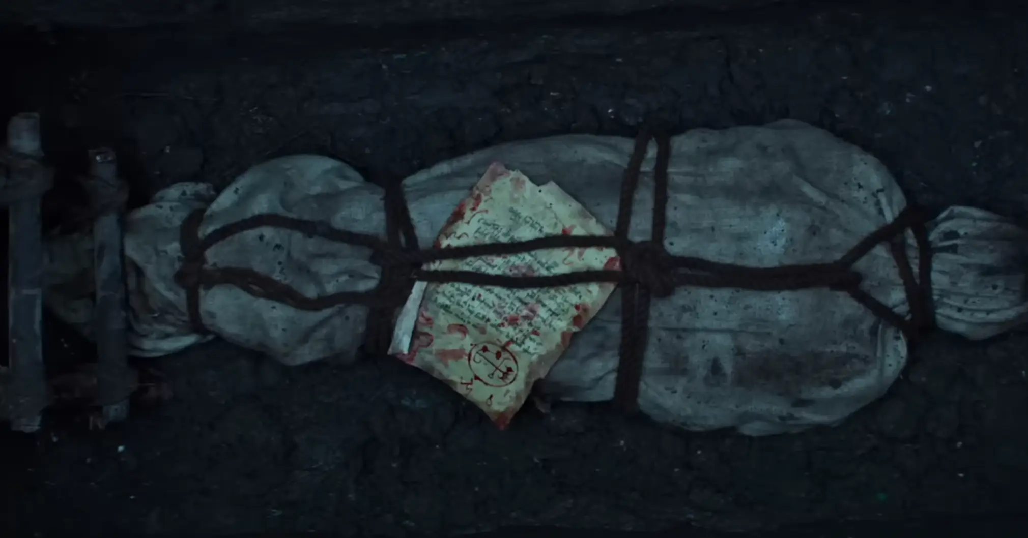 The french series is on Netflix (Netflix)