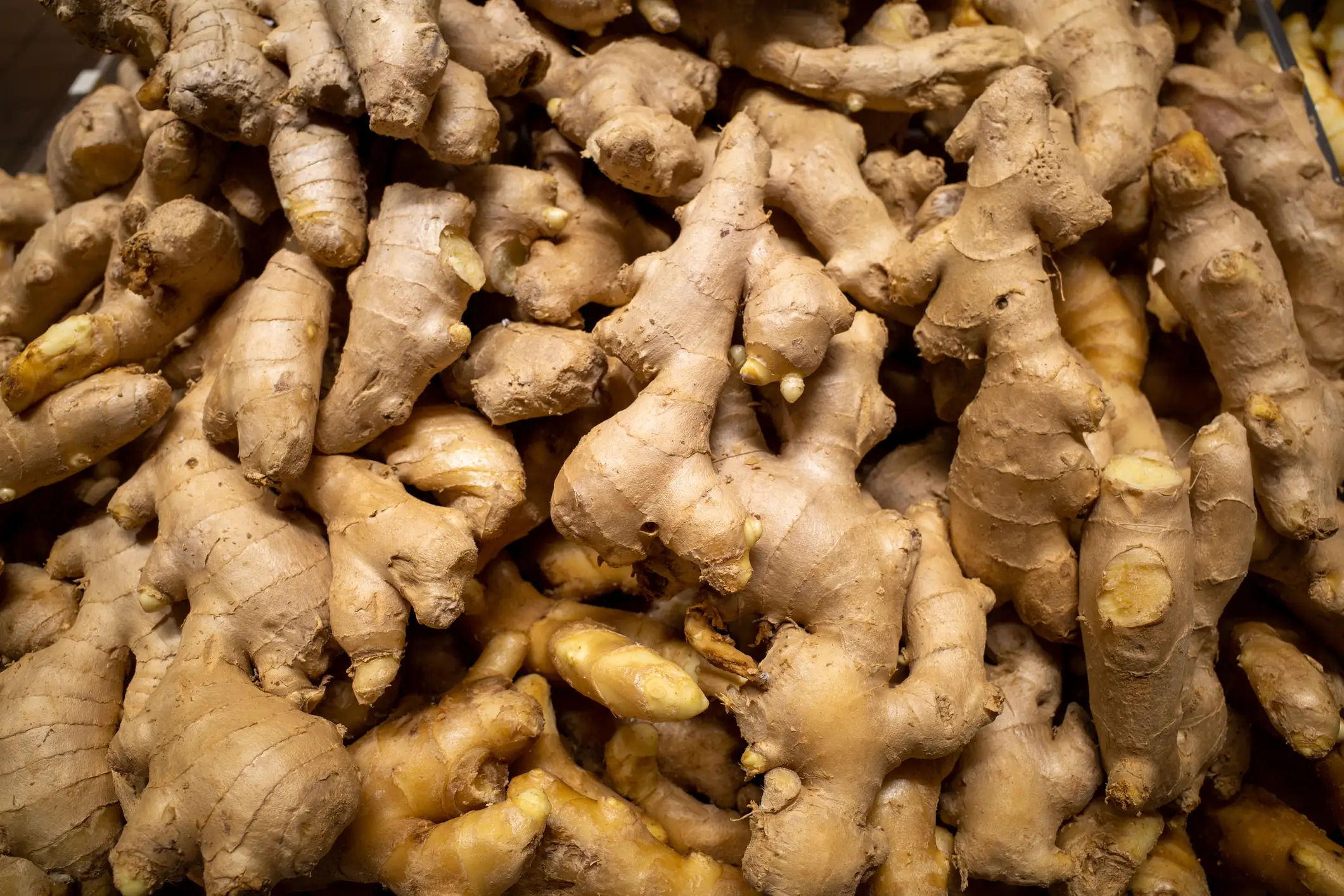 Ginger is a superfood you can find in most supermarkets (Getty Stock)