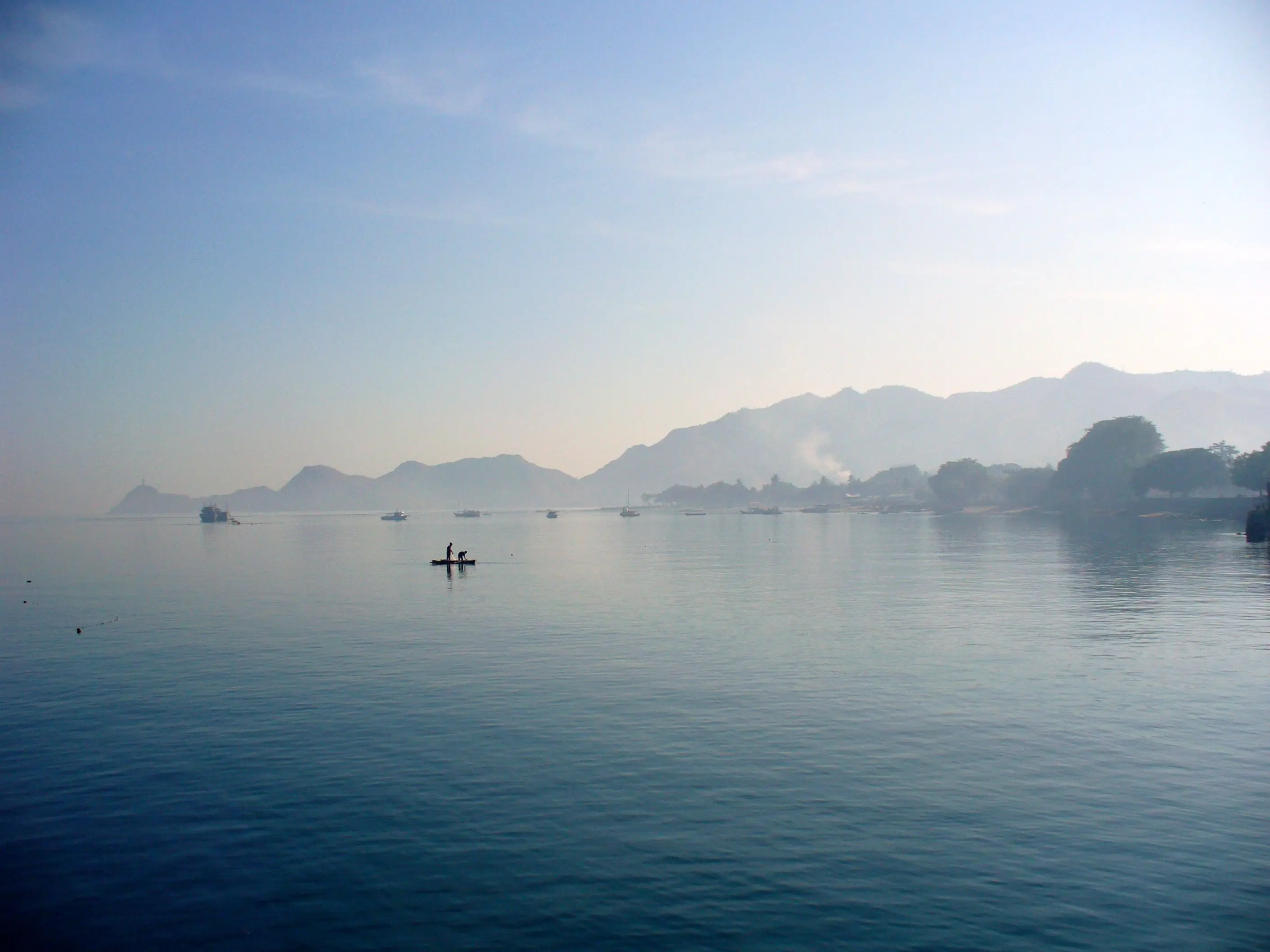 The shark was found off the coast of Timor (yeowatzup via Getty Images)
