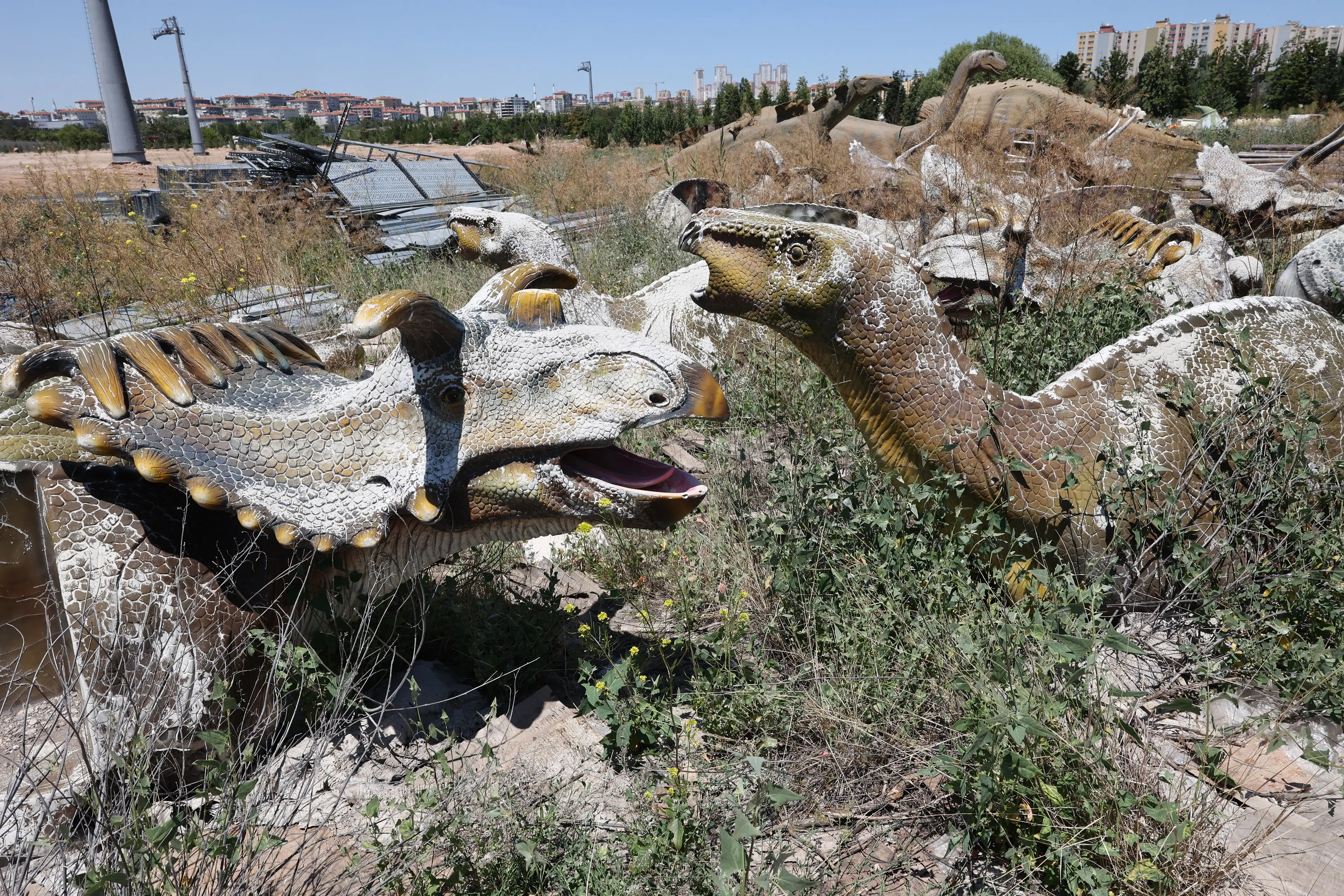 The theme park has been left to rot.
