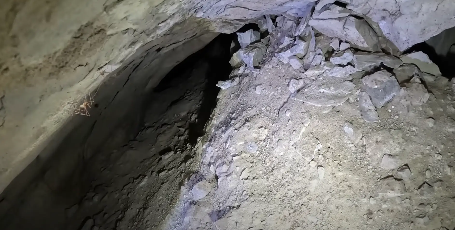 The pair had to contend with massive spiders (YouTube/ActionAdventureTwins)