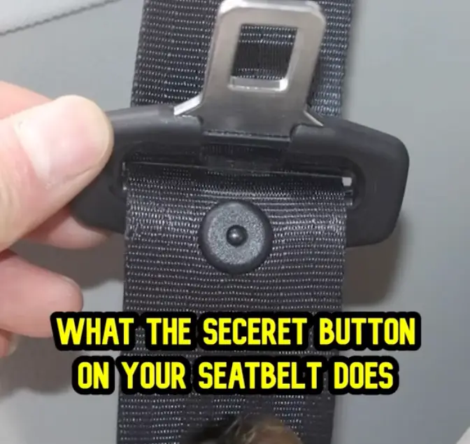 Viewers have been left blown away.