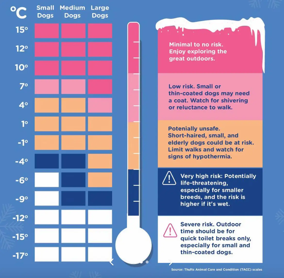 (TikTok/Pet Health Club)