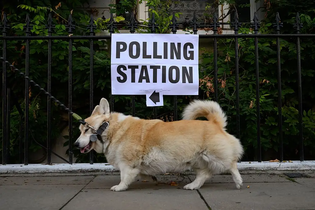 Not everyone was happy to visit their local polling stations (Photo by Leon Neal/Getty Images)