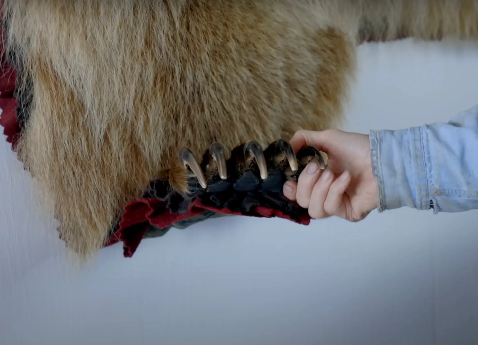 Wes' face was mauled by the bear's powerful claws.