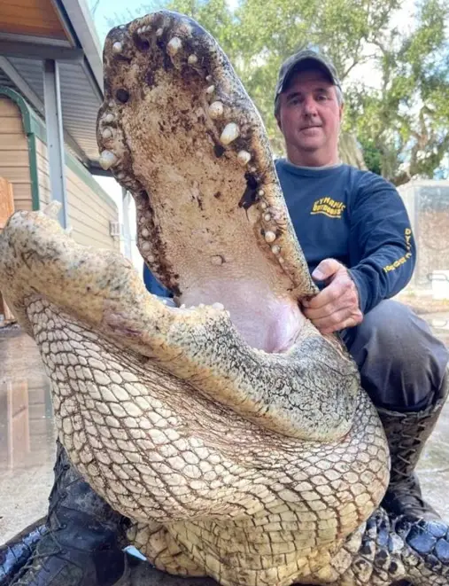 The hunter said it was a threat to animals and humans.