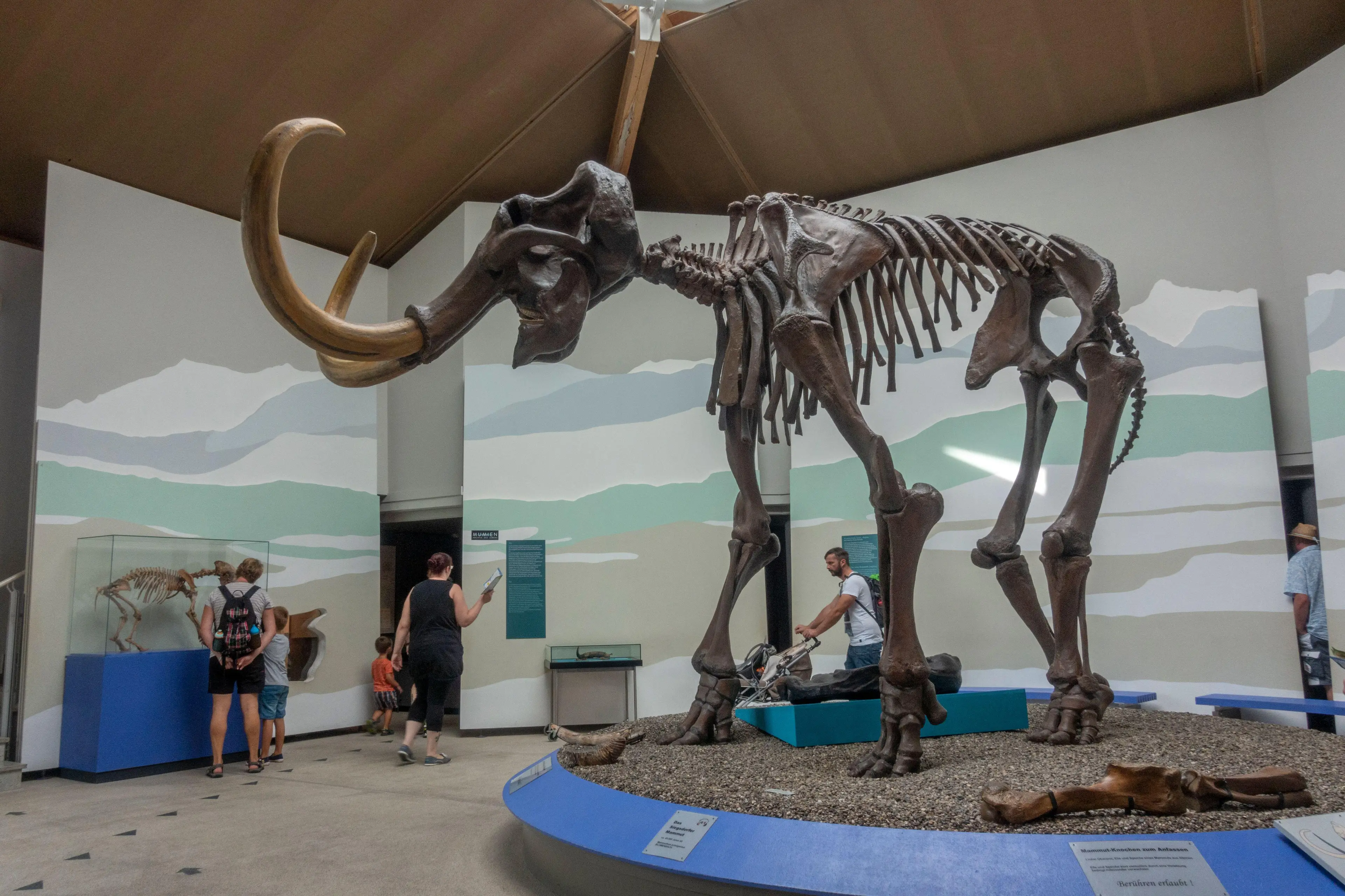 This is probably the closest you've come to seeing a mammoth in the wild.