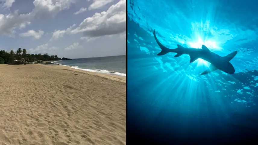 Getty stock image/Google street view