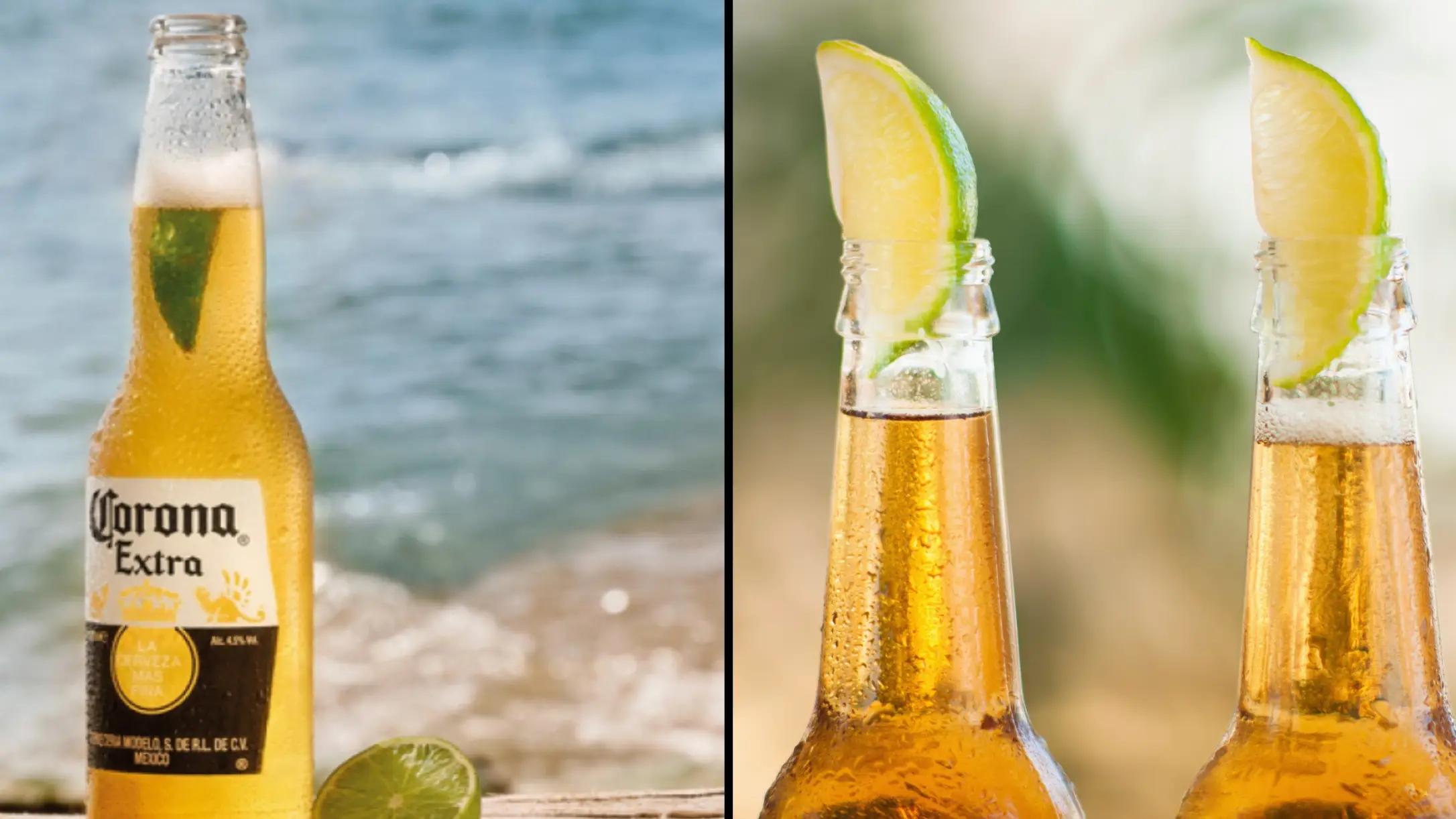 Corona / Getty Stock Photo