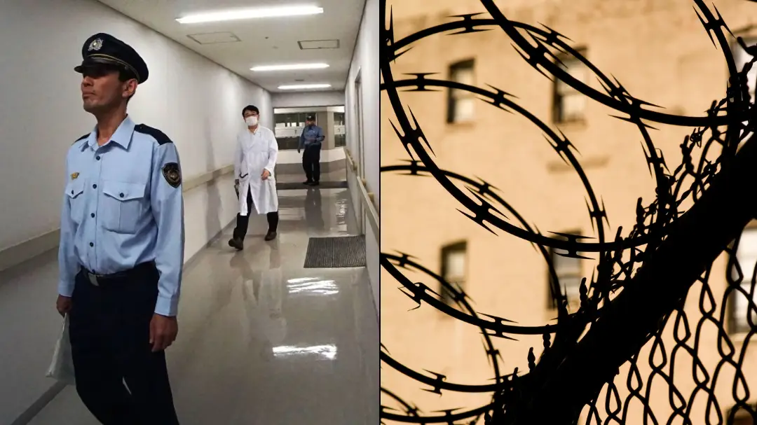 KARYN NISHIMURA-POUPEE/AFP via Getty Images and Getty Stock