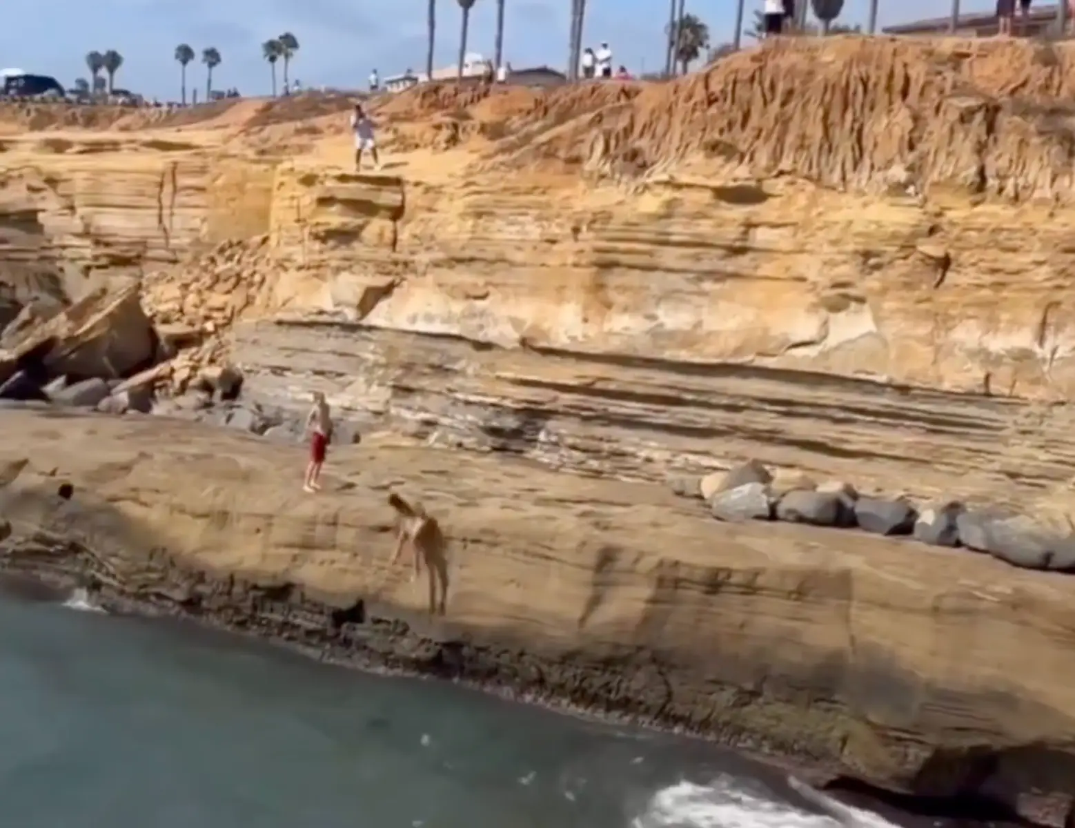 The teenager collided with the cliff (X)