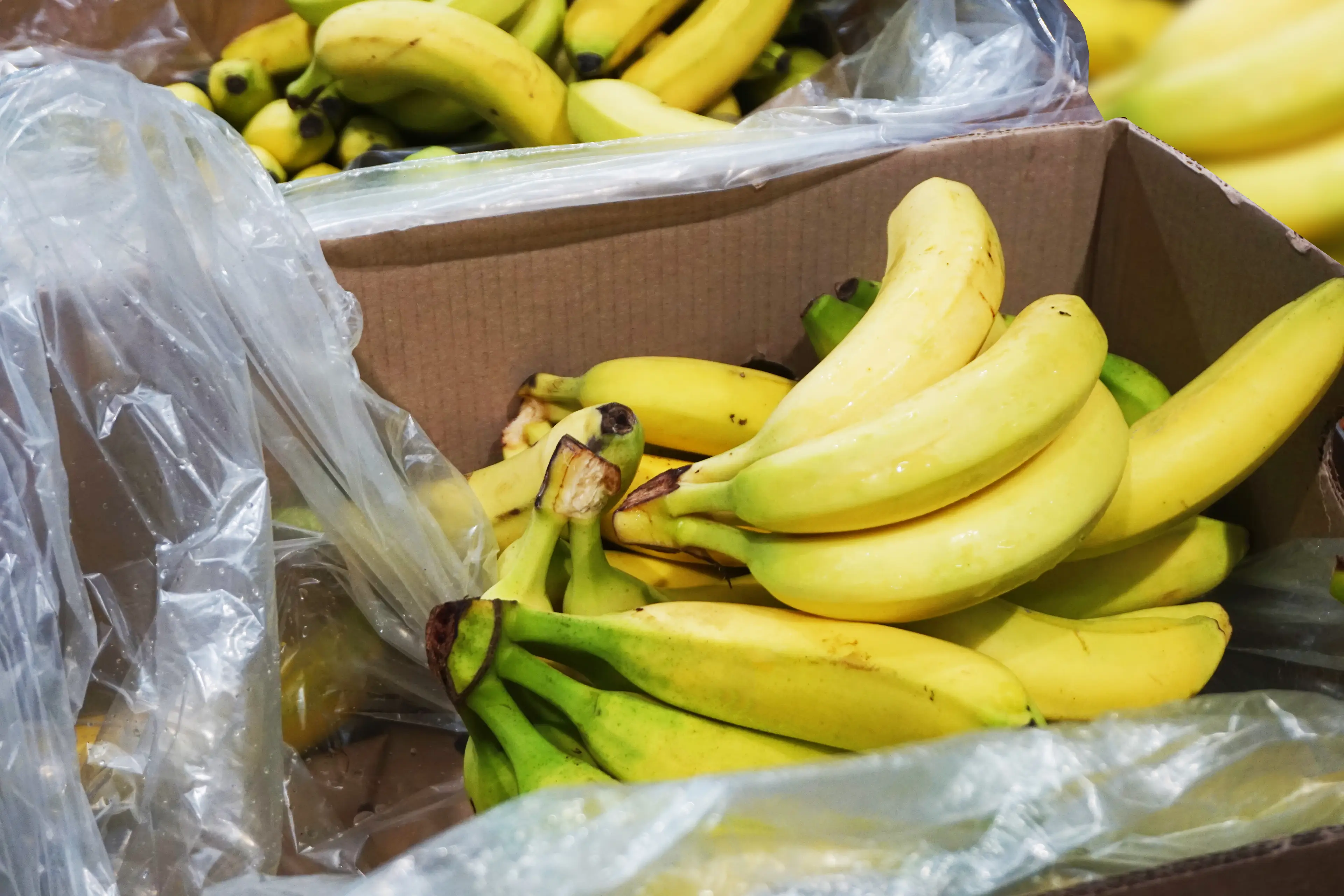 Most of the shipping containers had bananas in them (Getty Stock Images)