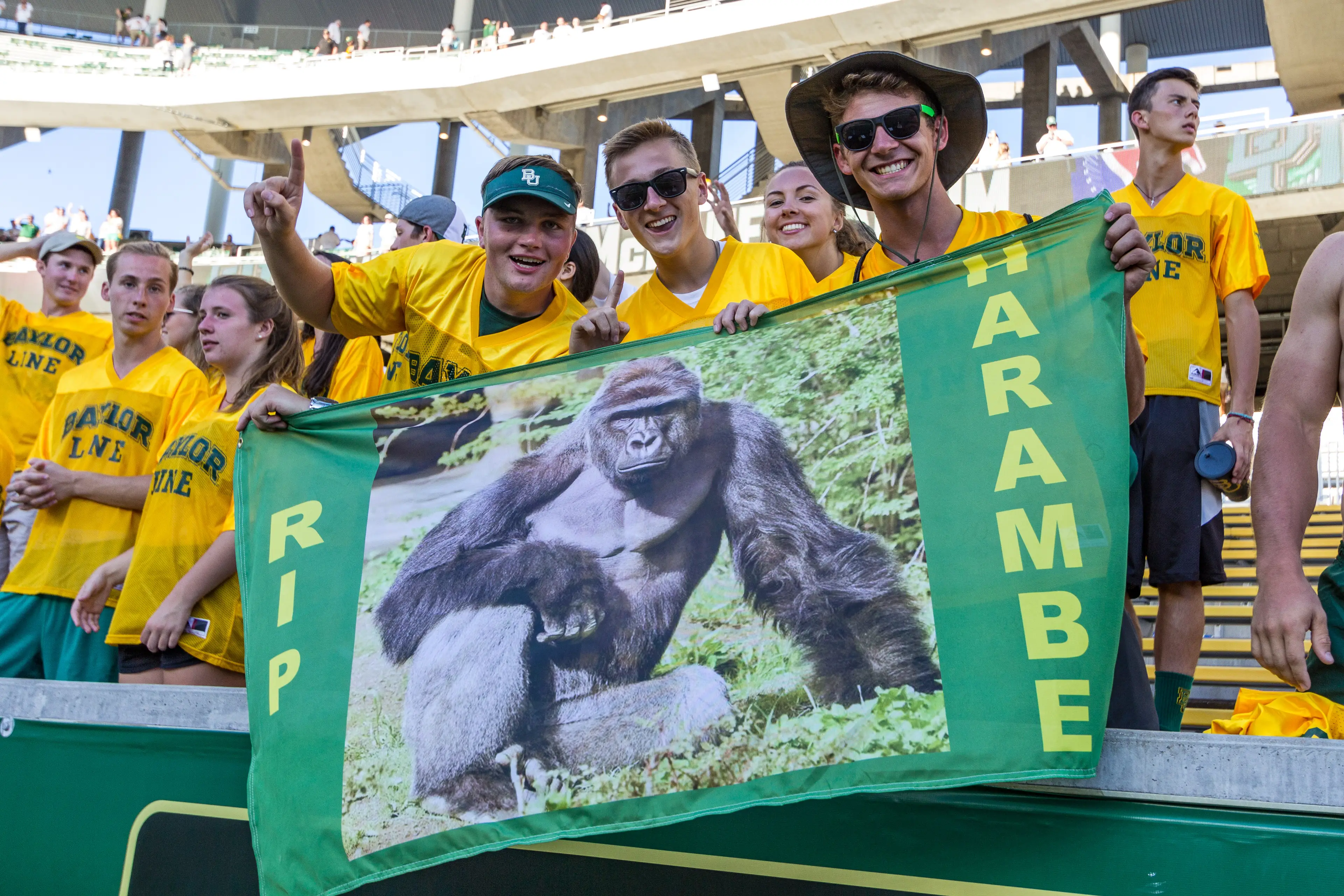 Harambe gained viral fame after his death, and many wondered why he couldn't be tranquilised instead of shot dead. (Matthew Pearce/Icon Sportswire via Getty Images)