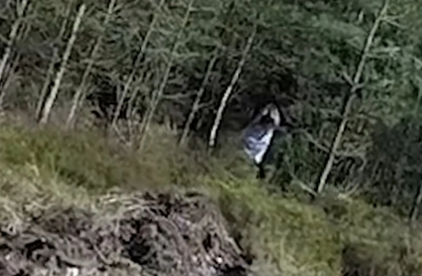 Is it a ghost, or just someone playing dress-up?