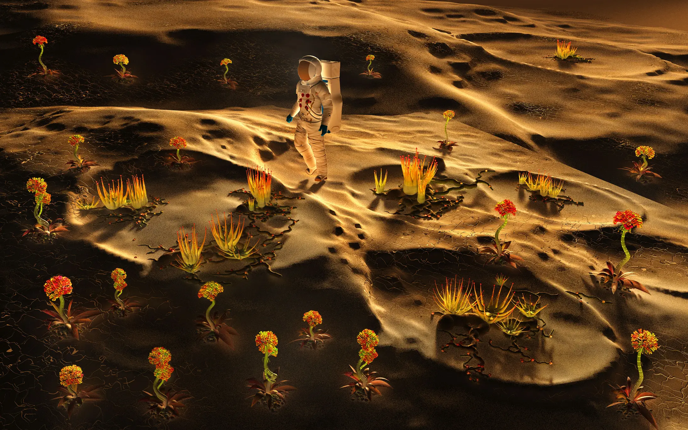 Experts say terraforming technology has made some big strides in recent decades, but we're still a long way off (Mark Stevenson/Getty Images)