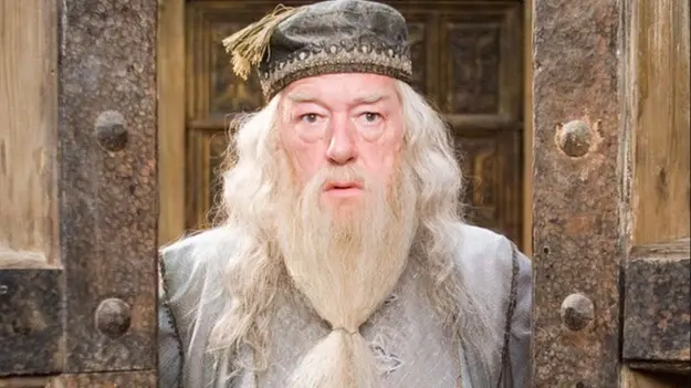 Remembering all 28 Harry Potter actors we’ve lost ahead of new HBO series 