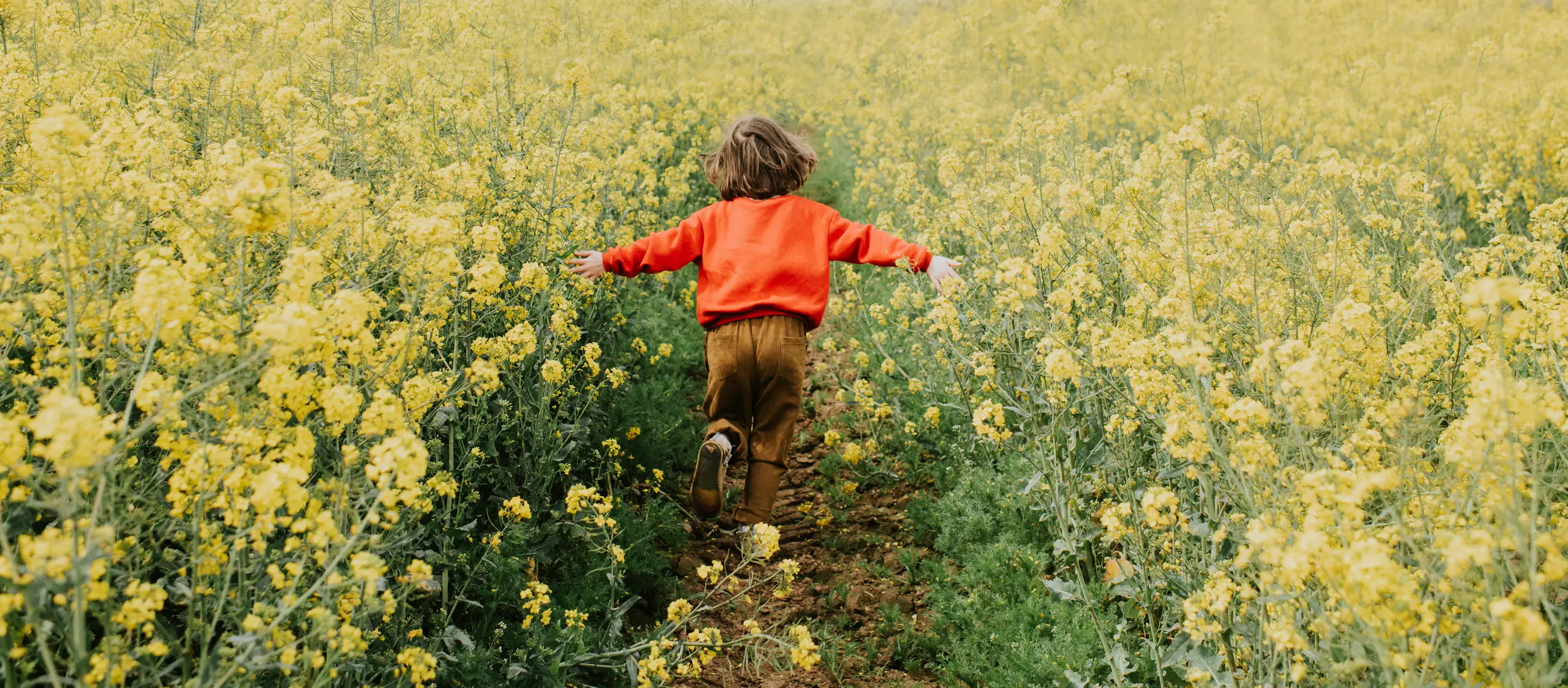 Something we hay fever sufferers can only dream of (Getty Stock)