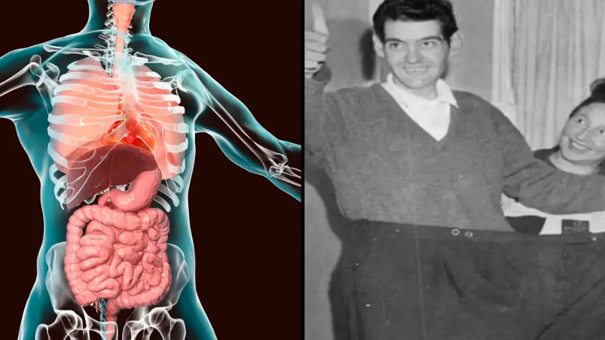 Getty stock image/Wikimedia Commons