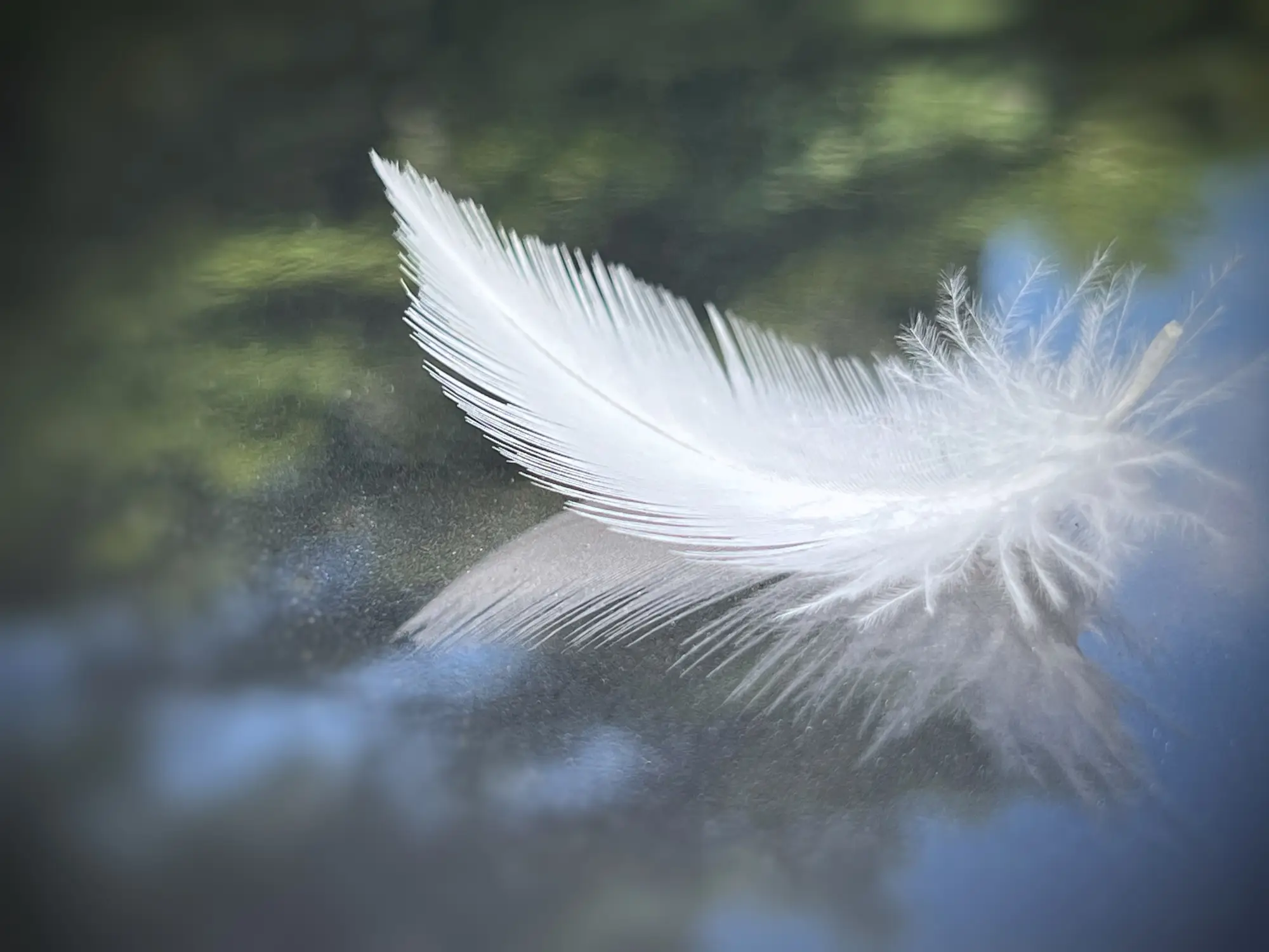 Feathers, particularly white feathers, are symbols associated with the loss of a loved one (Getty Stock Images)