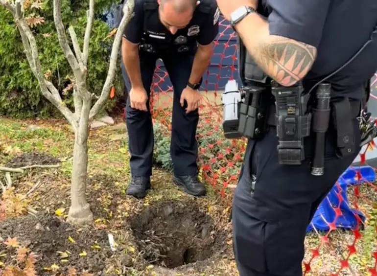 Police were eventually called to investigate (TikTok/@katiesentry)