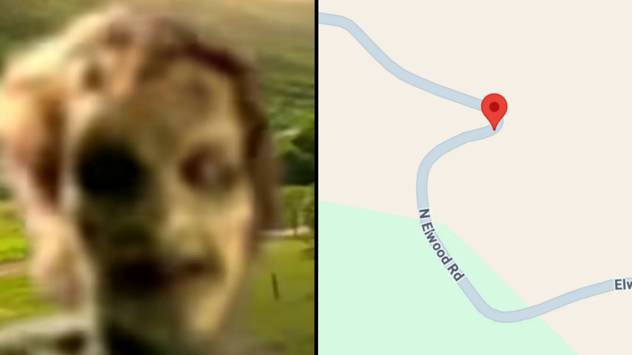 Creepy thing happens when you search location of iconic 'ghost car' video on Google Maps
