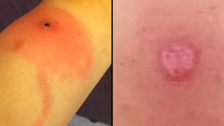 Alaska Department of Health