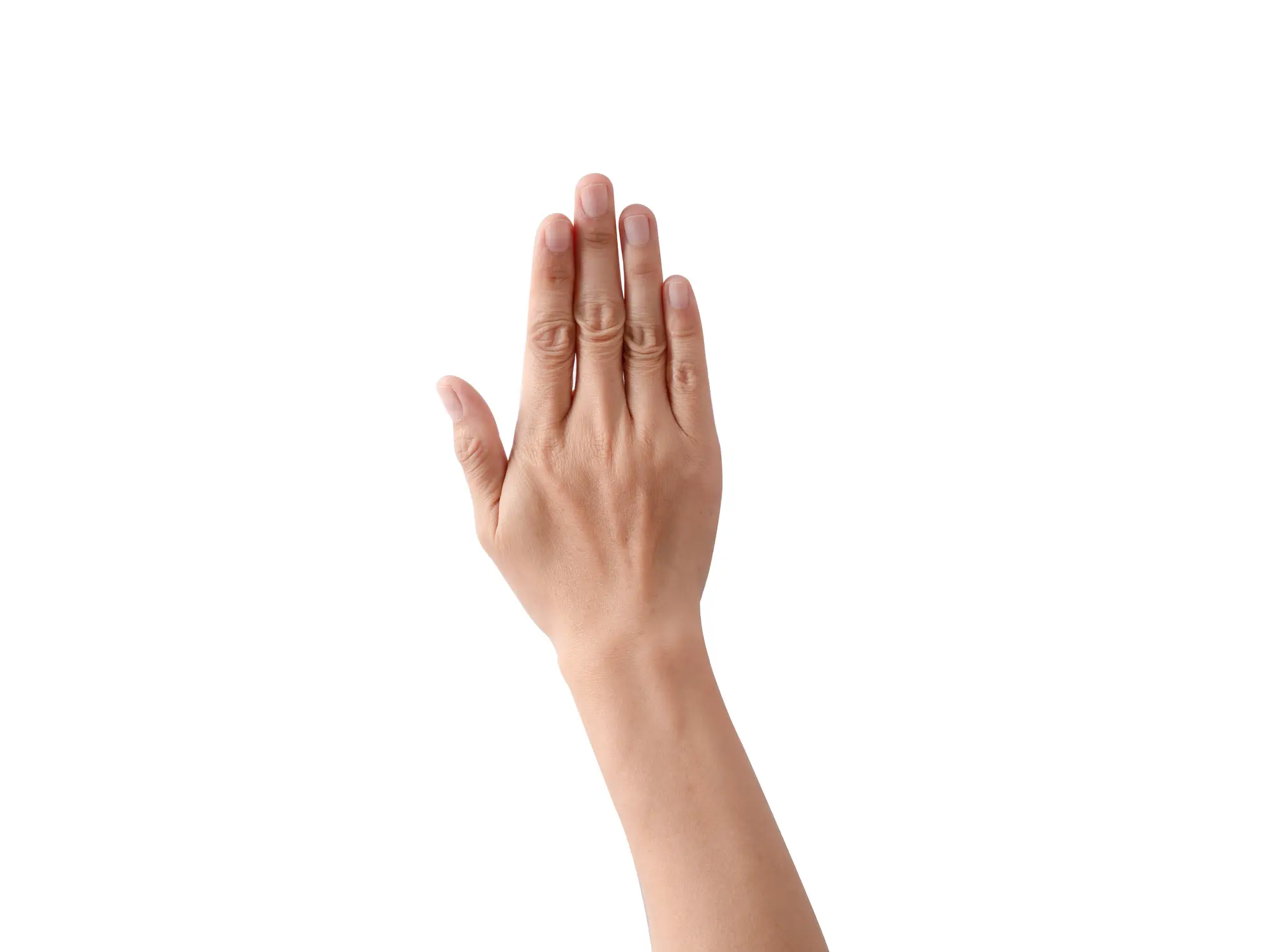 The study took a close look at the index finger and the ring finger (Getty Stock Images)