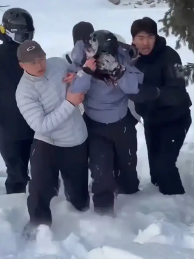 The woman reportedly tried to take a selfie with the snow leopard before it pounced on her (X)