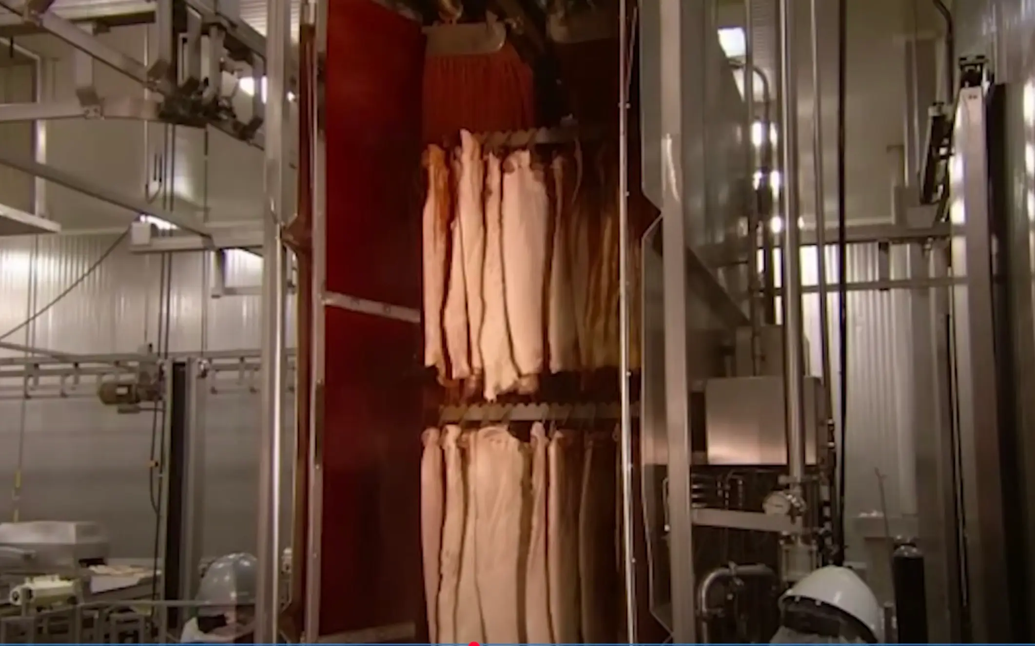 The 'shower of liquid smoke' left viewers stunned  (YouTube/Discovery UK)