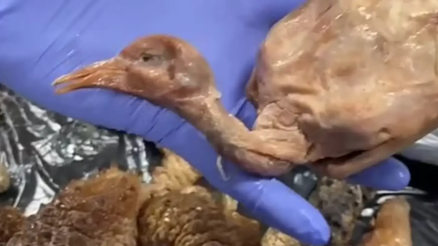 Policia Muncipal de Madrid