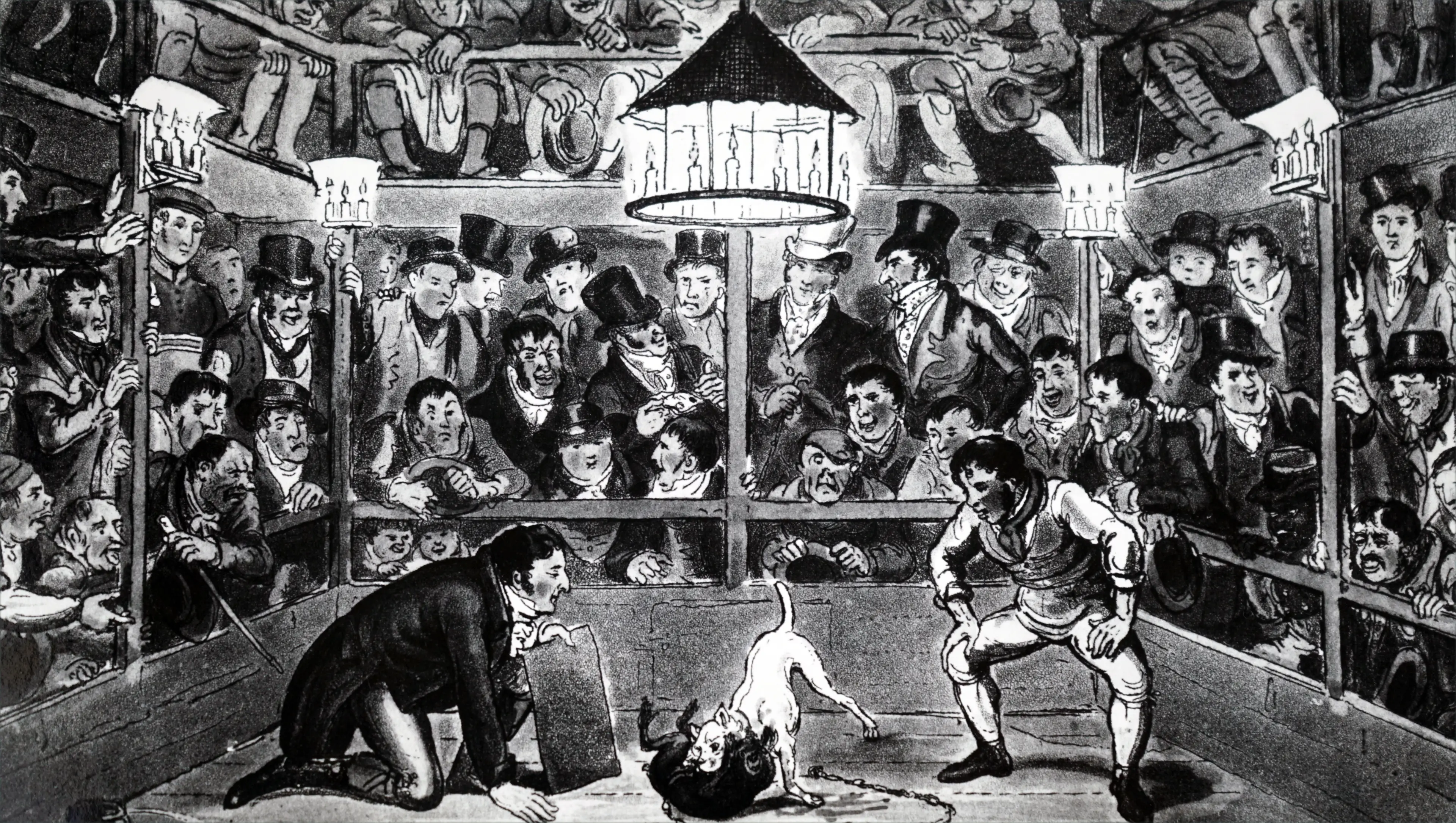 The blood sport has been banned since 1835.