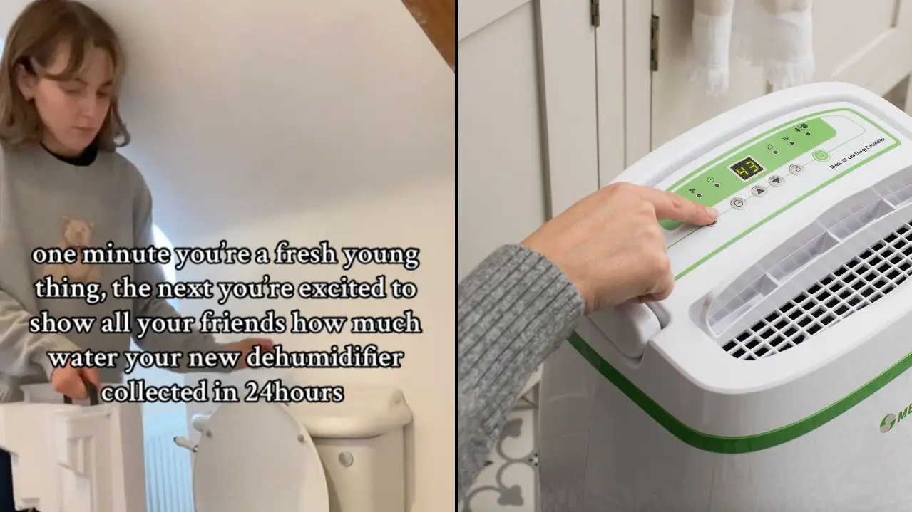 TikTok/@bs_homereno/Meaco