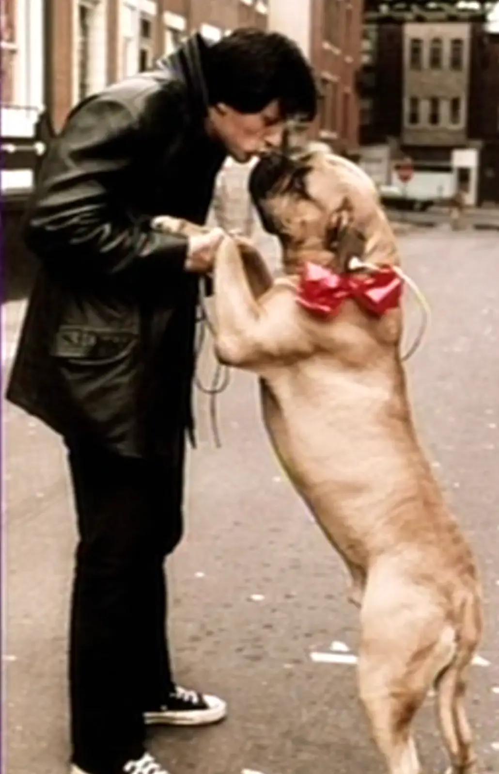 Stallone and his dog Butkus (BBC)
