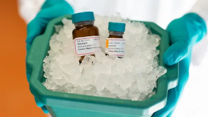 K. Link / Max Planck Institute for Biology of Ageing