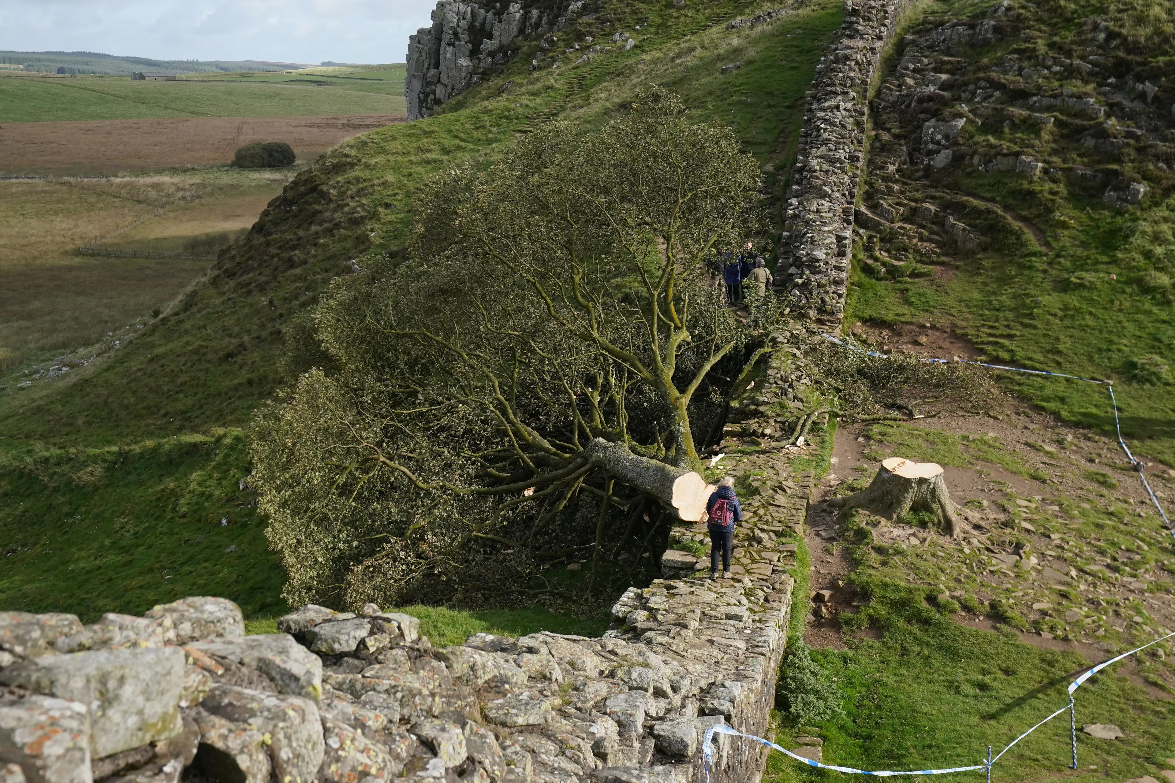 The pair chopped down the world famous Sycamore Gap tree in the middle of the night in September 2023 (PA)