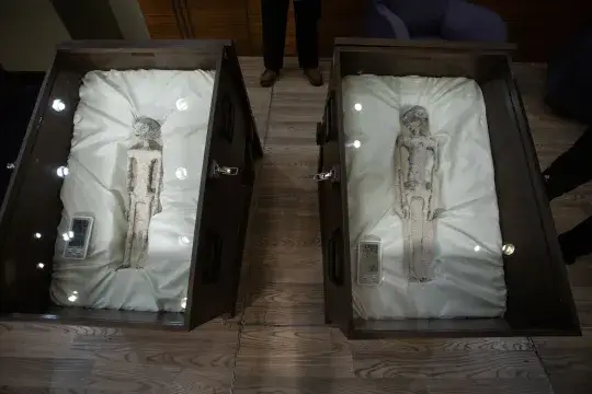 These figures were presented to the Mexican congress. (Unearthing Nazca/Gaia/YouTube)