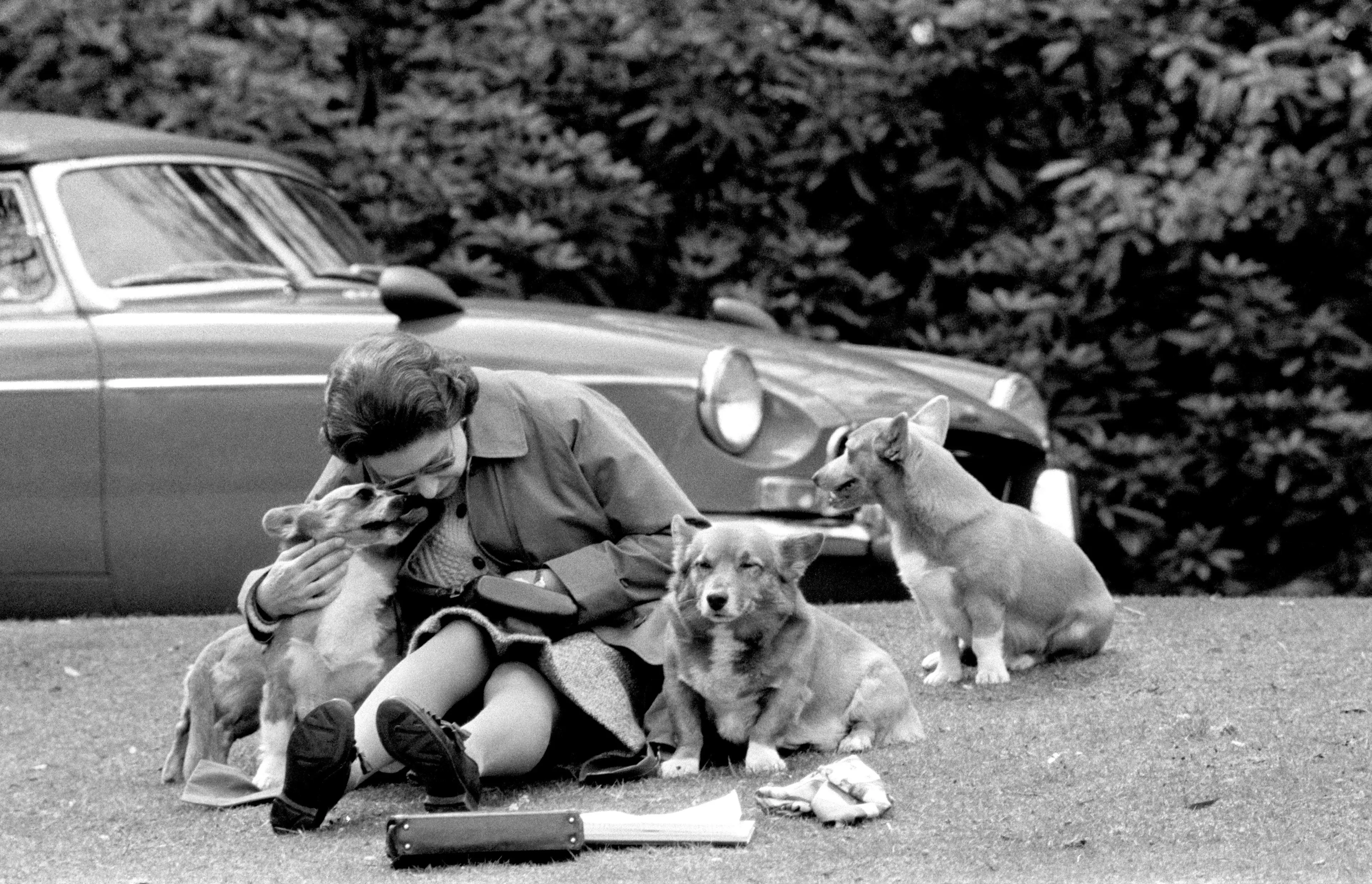 Queen Elizabeth II is said to have had over 30 corgis during her reign.